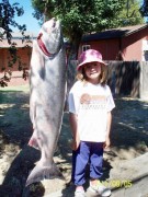 Vieira's Resort Fishing