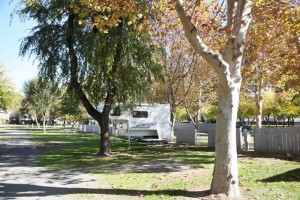 Vieira's Resort RV Park